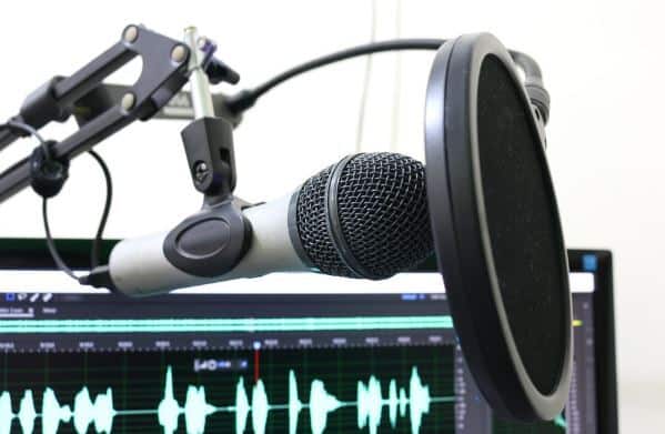 Mic filter