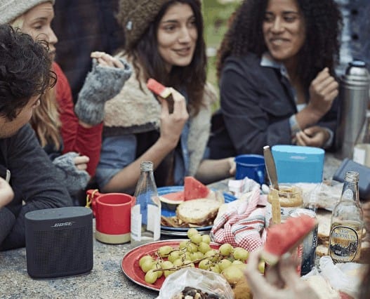 Bose SoundLink party speaker