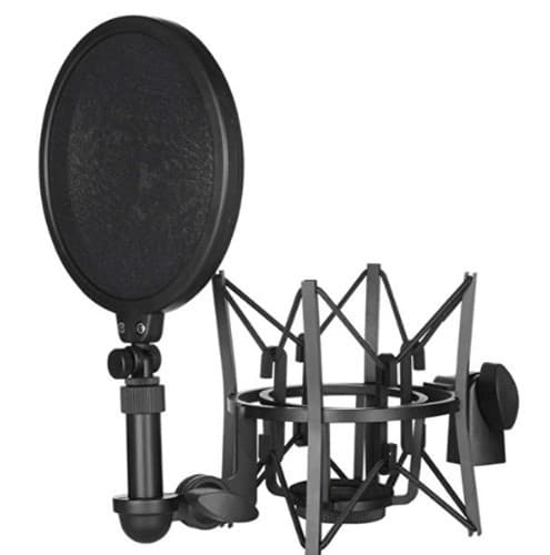 Filter and shock mount