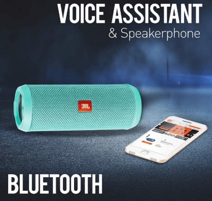 Voice Assistant