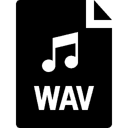 Waveform Audio File Format(WAV)