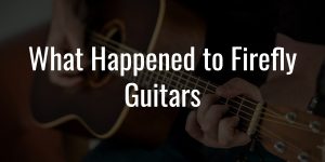 What happened to firefly guitars