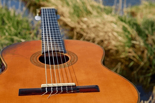 Basic info on Firefly guitars