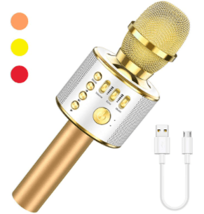 LET'S GO! Wireless Portable Handheld Mic