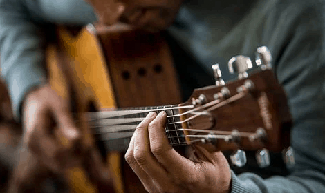Who makes firefly guitars?