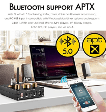 Douk Audio P1 Bluetooth 5.0 Vacuum inputs