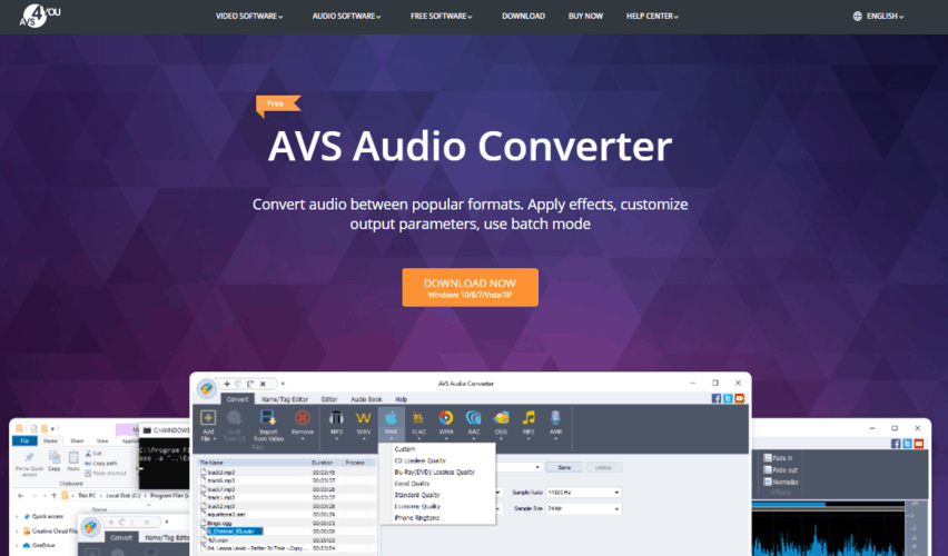 AVS Audio Converter