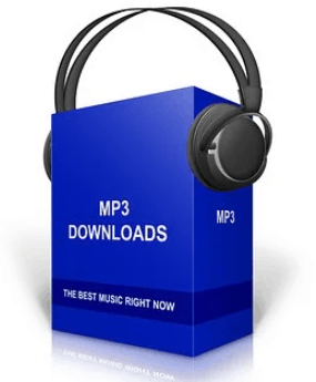 Differences between Mp3 VO vs CBR 320kbps