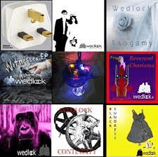 Use artist discography