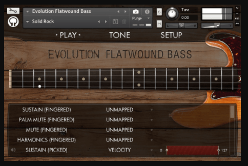 Evolution Flatwound Bass