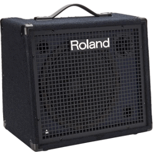 Roland KC-200 Keyboard Speaker