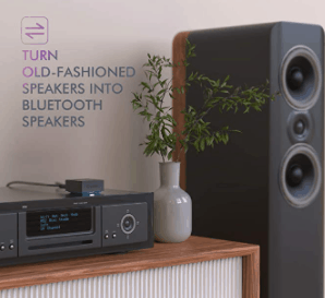 Esinkin Wireless Audio Receiver Kit Notable Features