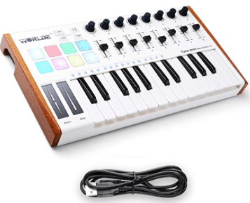 Worlde 25 Key USB Portable MIDI Keyboard