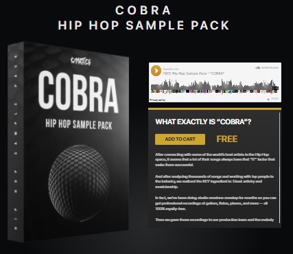 Cobra Hip Hop and 808 Drum Kit