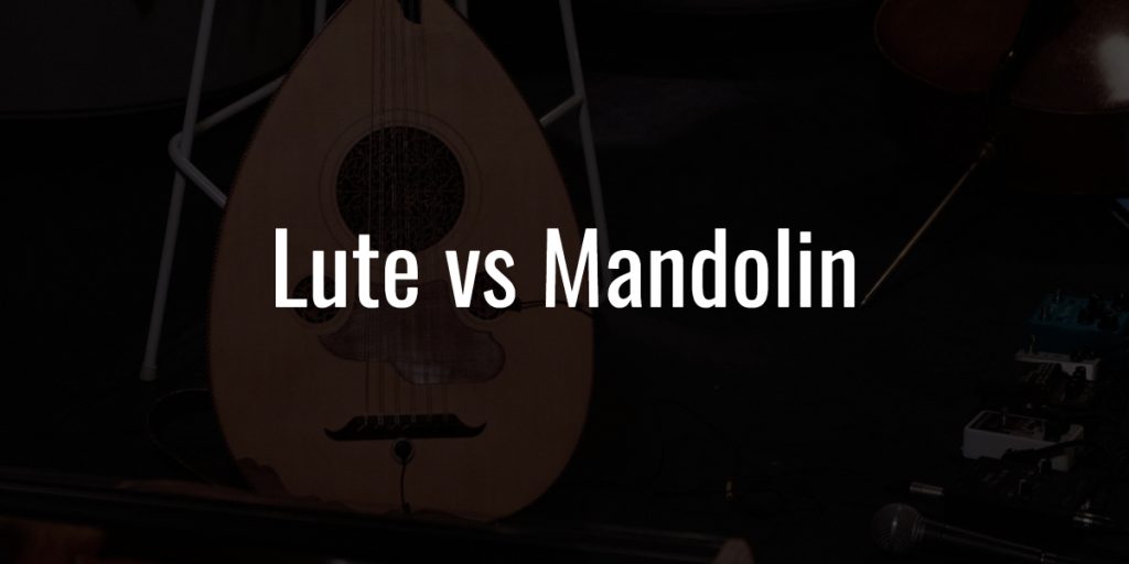 Lute vs mandolin