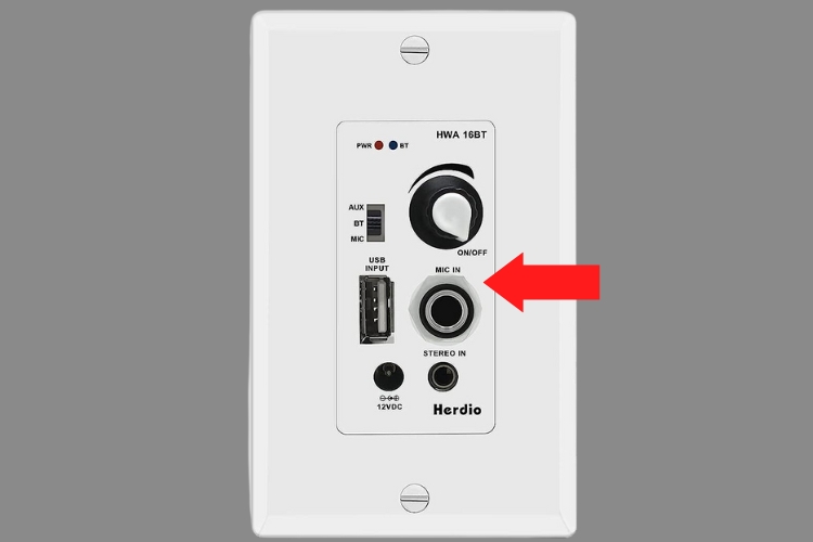 Microphone input
