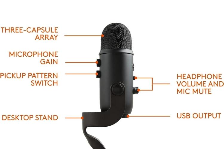 Blue yeti physical appearance