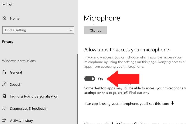 Provide microphone access in settings