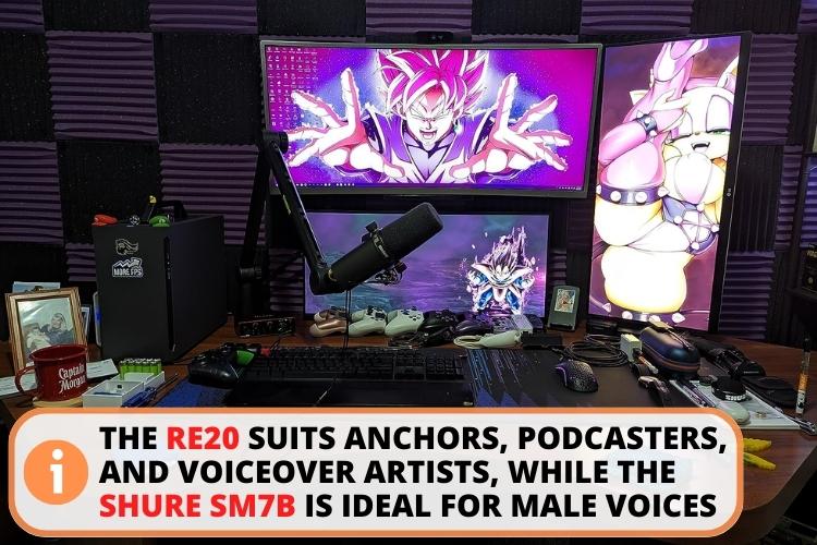 RE20 vs SM7B target audience