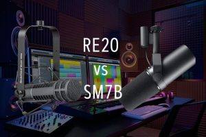 RE20 vs SM7B
